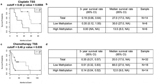 Figure 3. High promoter methylation in patients is associated with poor survival outcome.(a&b) Kaplan-Meier survival analysis with high methylation (solid line) and low methylation (dashed line) in patients after cisplatin treatment. (c&d) Kaplan-Meier survival analysis with high methylation (solid line) and low methylation (dashed line) in patients after chemotherapy.