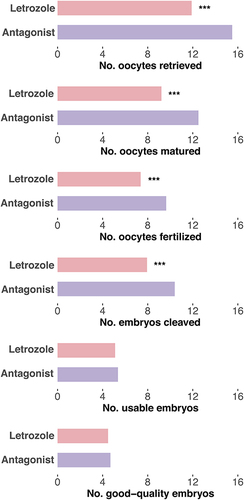 Figure 3 Embryonic parameters in women with PCOS undergoing IVF with and without letrozole co-treatment. Comparison of the numbers of retrieved, matured and fertilized oocytes, as well as the numbers of cleaved, usable, and good-quality embryos. The numbers are depicted using purple bars (GnRH antagonist group) and red bars (letrozole co-treatment group). Statistical significance is indicated as “***” for P < 0.001.