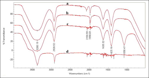 Figure 7. Fourier Transform-Infrared Spectroscopy (FTIR) spectrum of AgNPs synthesized by different Alternaria species, A. alternata PNU71 (a), A. chlamydospora PNU09 (b); A. solani PNU11 (c); A. alternata PNU75 non-producing AgNPs (d).
