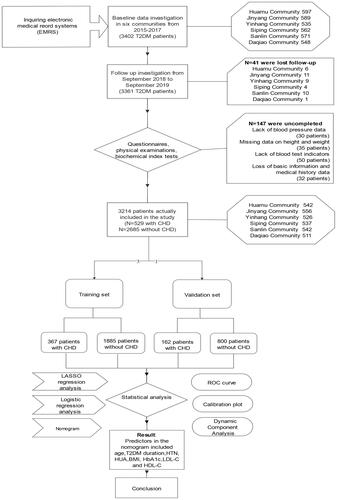 Figure 1 The flow chart presents the entire process of patient follow-up, data collection and statistical analysis in this study.