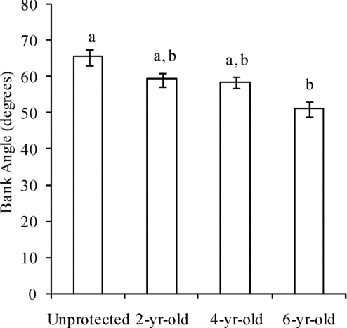 Figure 5 Average bank angles (± 1 standard error) of unprotected sites and 2- to 6-yr-old breakwater protected sites on Kinkaid Lake.