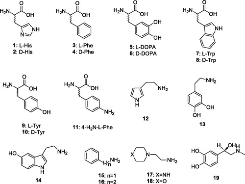 Chart 1. Amino acids 1–11 and amines 12–19.