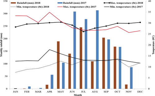 Figure 1. Average monthly rainfall and temperature distribution during the two experimental years (2017–2018) at South Achefere.