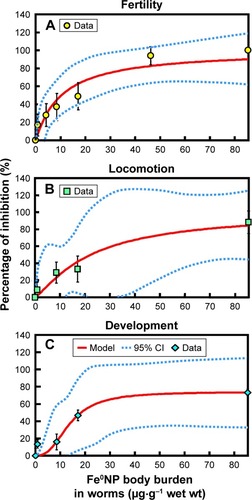 Figure 6 Reconstructed dose–response profiles.Notes: Relationships between Fe0NP body burdens and inhibition of (A) fertility, (B) locomotion, and (C) development in Caenorhabditis elegans. Solid circles, squares, and diamonds are data points of concentration inhibition of fertility, locomotion, and development, respectively, in C. elegans. Solid and dotted lines are model simulations and 95% CIs, respectively.Abbreviations: NP, nanoparticle; wt, weight.