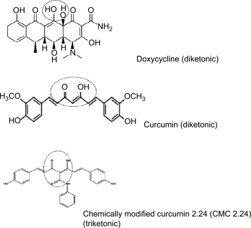 Figure 1 The molecular structures of doxycycline (top), curcumin (middle), and CMC 2.24 [1,7-bis-(4-hydroxyphenyl)–4-phenylaminocarbonyl-1E,6E-heptadien-3,5-dione] (bottom).
