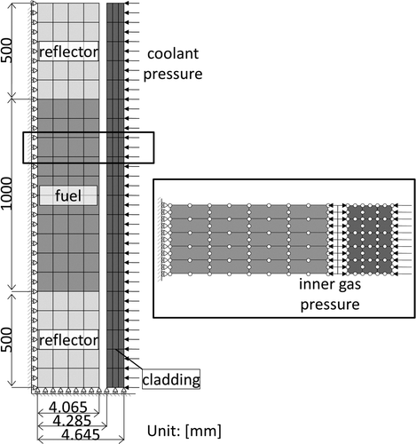 Figure 8. Calculation model of the thermoelastic analyses on the transient.