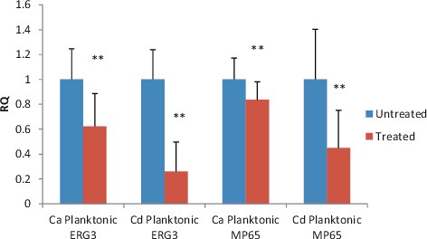 Figure 2. The expression level of MP65 and ERG3 gene in C. albicans and C. dubliniensis.