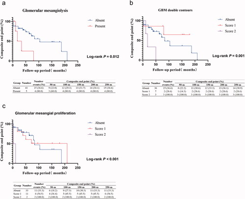 Figure 4. Kaplan–Meier analysis of different pathological features in nondialysis group. (a) Kaplan–Meier analysis of composite endpoints between the absent and present glomerular mesangiolysis group. (b) Kaplan–Meier analysis of composite endpoints among the group absent, score 1, and score 2 of glomerular basement membrane (GBM) double contours. (c) Kaplan–Meier analysis of composite endpoints among the group absent, score 1, and score 2 of glomerular mesangial proliferation.