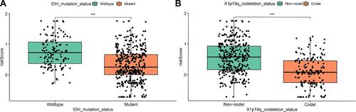 Figure 3 The association between risk score with IDH mutation status (A) and 1p/19q co-deletion status (B).