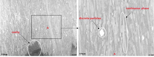 Figure 9. SEM micrograph of the sample F (10 g of EGMA) under tensile load with area view A in higher magnification.