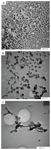 Figure 2 Formation of (A) and (B) network structures and (C) nanowire after irradiation of silver colloids in water.