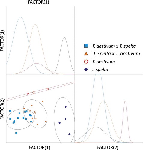 FIGURE 3 Discriminant analysis of FTIR-ATR spectra (log(Abs.)) for wavenumber ranges 575–4500 cm−1. Confidence ellipses were plotted for a probability of 0.669.