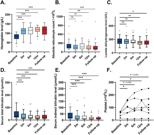 Figure 4. Key laboratory parameter changes at 3, 6, 12 months, and at the end of follow-up. A. The haemoglobin levels at baseline, 3, 6, 12 months of treatment, and at the end of follow-up. The haemoglobin levels at 3, 6, 12 months, and at the end of follow-up were significantly higher than the baseline level (all p <0.001). B. The absolute reticulocyte counts at baseline, 3, 6, 12 months of treatment, and at the end of follow-up. The absolute reticulocyte counts at 12 months and at the end of follow-up were significantly lower than the baseline level (p = 0.005 and p < 0.001, respectively). C. The lactate dehydrogenase levels at baseline, 3, 6, 12 months of treatment, and at the end of follow-up. The lactate dehydrogenase levels at 12 months and at the end of follow-up were significantly lower than the baseline level (p = 0.006 and 0.036, respectively). D. The serum total bilirubin levels at baseline, 3, 6, 12 months, and at the end of follow-up. The serum total bilirubin levels at 3, 6, 12 months, and at the end of follow-up were significantly lower than the baseline (all p <0.001). E. The serum indirect bilirubin levels at baseline, 3, 6, 12 months, and at the end of follow-up. The serum indirect bilirubin levels at 3, 6, 12 months, and at the end of follow-up were significantly lower than the baseline level (all p <0.001). F. The platelet levels at baseline, 3, 6, 12 months of treatment, and at the end of follow-up. The platelet levels at 3 and 12 months were significantly higher than the baseline level (p = 0.037, 0.029, respectively), and there was a trend that the platelet levels at 6 months and at the end of follow-up were higher than the baseline level (p = 0.058, 0.055, respectively). In panels A-E, the horizontal line within each box represented the median, the lower and upper borders of each box represented the 25th and the 75th percentiles, respectively, and the I bars represented the adjusted minimum and maximum range. Dots represented outlier values.