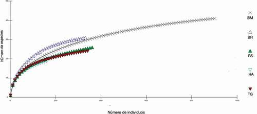 Figura 6. Curvas de rarefacción que presentan la riqueza de especies para una muestra estándar en diferentes coberturas vegetales en el Caribe del noreste de Honduras y Nicaragua