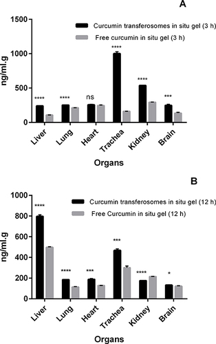 Figure 12 Biodistribution of curcumin transferosomes in-situ gel and free curcumin in-situ gel in rabbits after 3 h of administration (A), and after 12 h of administration (B). *Significantly different from free curcumin in-situ gel control (p < 0.05). ***Extremely significant different (p < 0.001). ****Extremely significant different (p < 0.0001). nsNon-significant difference compared to free curcumin in-situ gel (p > 0.05). The statistical significance was computed by Student’s t-test.