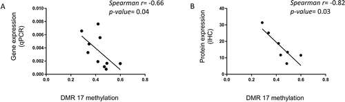 Figure 3. DNA methylation associates with HOXA5 gene and protein expression. Correlation of (a) HOXA5 gene expression in VSMC, normalized to housekeeping genes and (b) HOXA5 protein expression, assessed by immunohistochemistry with the EPIC methylation array values of the corresponding DMR 17. r: Spearman correlation coefficient