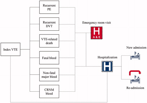 Figure 1. Model structure. CRNM, clinically relevant non-major; DVT, deep vein thrombosis; PE, pumonary embolism; VTE, venous thromboembolism.