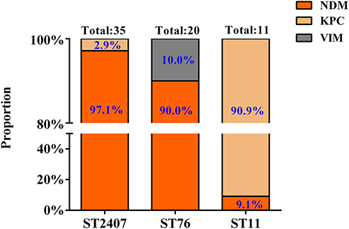 Figure 6 The proportion of carbapenemase genes in the top three CRKP STs.
