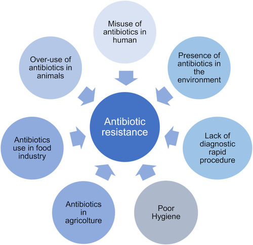 Figure 2 Main factors leading to antibiotic resistance.