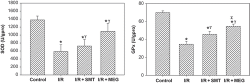 Figure 3. Effect of renal ischemia reperfusion (I/R), SMT, and MEG on tissue malone dialdehyde (MDA) and protein carbonyl content (PCC). All values expressed as mean SEM. *statistically significant from control (p <0.05), γ = statistically significant from I/R group (p <0.05), χ = statistically significant from I/R+SMT (p <0.05).