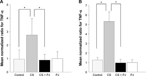 Figure 4 Mean transcriptional expression of TNF-α after chronic exposure.Notes: Significantly increased levels of TNF-α were observed in CS animals at 1 month (A) and 3 months (B) of CS. The increased levels of TNF-α were significantly attenuated with PJ supplementation. Error bars represent SE. Asterisks indicate statistically significant associations (P<0.05).Abbreviations: CS, cigarette smoke; PJ, pomegranate juice; SE, standard error; TNF, tumor necrosis factor.