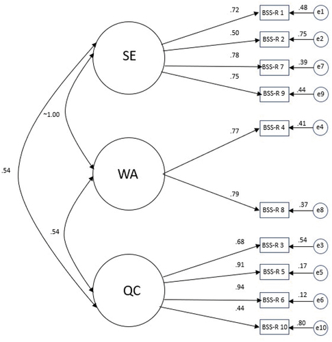 Figure 1. Standardised factor loadings of the three-dimensional measurement of the BSS-R.