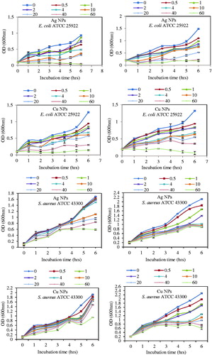 Figure 9. Growth kinetics with initial optical density (OD) 0.1 and 0.2 in the presence of different concentrations of Ag NPs and Cu NPs (0.5, 1, 2, 4, 10, 20, 40 and 60 μg/ml) for E. coli ATCC 25922 and S. aureus ATCC 43300.