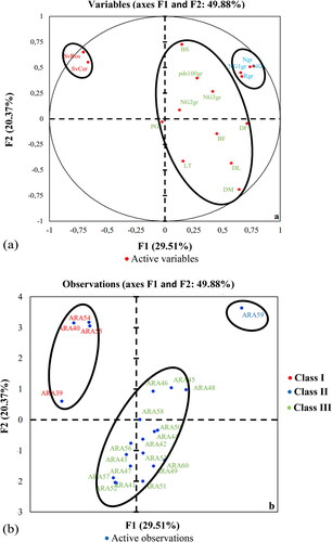 Figure 3. Correlation circle (a) and dispersion of accessions; (b) on the F1 and F2 axes in the first crop cycle.