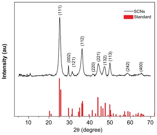 Figure 3 XRD pattern of engineered SCNs and standard pattern of SrCO3 (JCPDS 05-0418).Abbreviations: XRD, X-ray diffraction; SCNs, strontium carbonate nanoparticles.