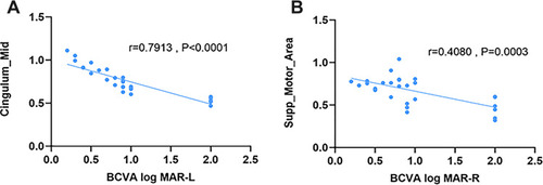 Figure 4 The VMHC results of brain activity in the DON group. (A)The mean VMHC value of the mid cingulum showed a negative correlation with the left best-corrected VA (r=0.7913, P<0.0001). (B)The best-corrected VA of the right eye negatively correlated with VMHC signal values of the supp motor area (r=0.4080, P=0.0003).