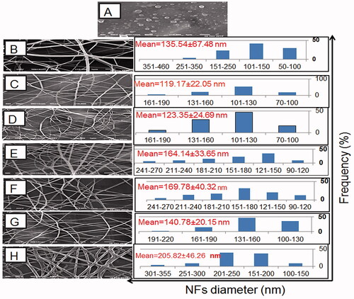 Figure 2. SEM photomicrographs and the corresponding diameter frequency histograms of: (A) CS beads at a concentration of 5% w/v, the uncrosslinked plain NFs based on CS:PEO at respective weight ratios of (B) 9:1, (C) 8:2, (D) 7:3, (E) 6:4, and (F) 5:5. (G) the uncrosslinked NIZ-loaded 8:2 CS:PEO NFs, and (H) glutaraldehyde-crosslinked NIZ-loaded 8:2 CS:PEO NFs.