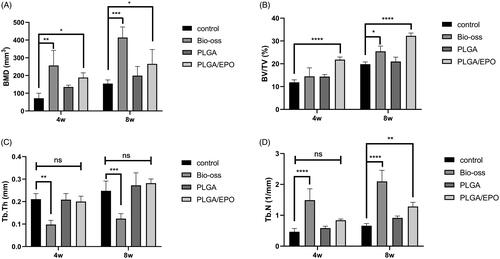 Figure 4. Quantitative analysis and bone morphology of bone defect at 4 and 8 weeks. (A) Bone mineral density. (B) The ratio of bone volume and tissue volume. (C) Trabecular thickness. (D) Trabecular number. “*” means p < .05, “**” means p < .01, “***” means p < .001, “****” means p < .0001, “ns” means p > .05.