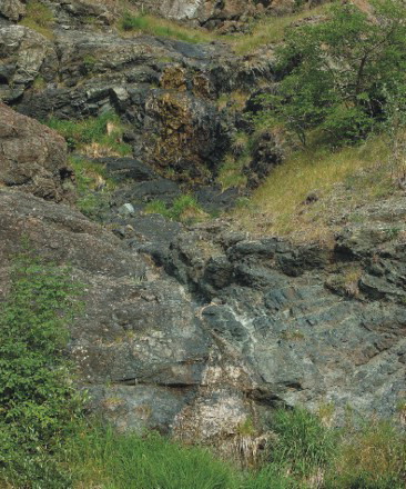 Figure 3. Gullies entrenched along Mt. Prinzera's hillslope are the most widespread forms controlled by structural features. They are dry, or almost dry, most of the time, while during rainfalls, or shortly after, they become full of water which quickly runs down the slope, as in the case of the gully shown in the picture of Mt. Prinzera's western side.