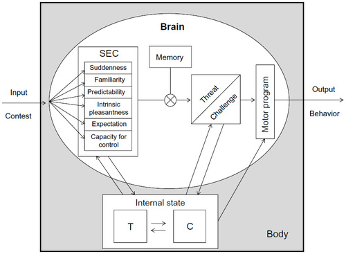 Figure 2 Hypothetical representation of the interaction between hormones and cognition, from contest appraisal to behavioral response.