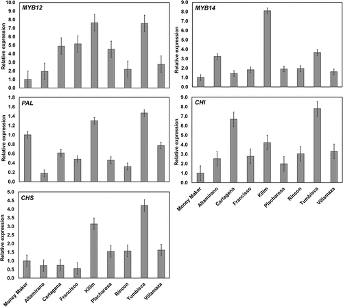 Figure 3. Relative expression of MYB transcription factors and target genes in the pericarp of Solanum lycopersicum var. cerasiforme accessions. The UBI3 gene was used as control and the expression values are relative to that of the commercial tomato Moneymaker. Bars indicate the LSD (α = 0.05). Means are significantly different when the bars do not horizontally overlap. MYB12 and MYB14: Transcription factors; PAL: Phenylalanine ammonia-lyase; CHS: Chalcone synthase; CHI: Chalcone isomerase.Figura 3. Expresión relativa de factores de transcripción MYB y genes diana en el pericarpio de accesiones de Solanum lycopersicum var. cerasiforme. Se usó el gen UBI3 como control y los valores de expresión son relativos al de la variedad comercial de tomate Moneymaker. Las barras indican LSD (α = 0.05). Las medias son significativamente diferentes cuando las barras no se traslapan horizontalmente. MYB12 y MYB14: Factores de transcription; PAL: Fenilalanina amonio liasa; CHS: Chalcona sintasa; CHI: Chalcona isomerasa.