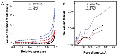 Figure 5 Adsorption-desorption isotherms (A) and BJH pore size distributions (B) for Zn/Al-NO3, PZAE, and PZAC.Abbreviations: BJH, Barret-Joyner-Halenda; Zn, zinc; Al, aluminum; NO3, nitrate; PZAE, perindopril intercalated into Zn/Al by ion-exchange; PZAC, perindopril intercalated into Zn/Al by coprecipitation method; STP, standard temperature pressure.