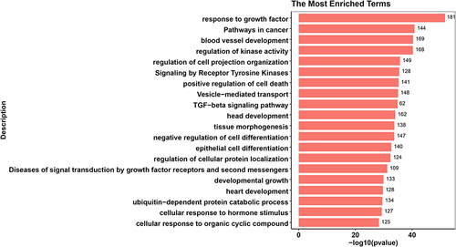 Figure 3 Top 20 enrichment terms in ATB vs. LTBI differentially expressed miRNA target genes enrichment terms. The value at the end of the bar indicates the number of genes enriched to this function.