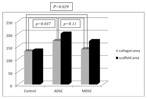 Chart 3. Correlation between collagen formation and scaffold area in the three groups at four weeks.