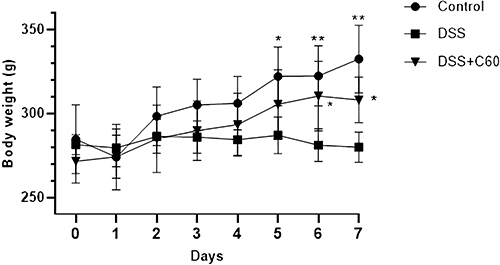 Figure 1 Effect of C60-Oil on body weight of Wistar rats. The body weight of Wistar rats of Control, DSS, and C60 groups was recorded daily. The data are presented as the mean ± SD. *p<0.05;**p<0.01 compared with the DSS group.