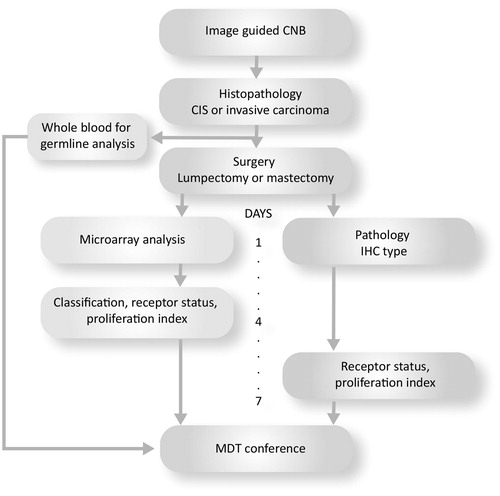Figure 1. Complete diagnostic work-up. A workflow illustrating the routine assessment of consecutive breast cancer patients enrolled in the complete diagnostic work-up including both standard histopathological evaluation and microarray analysis. In addition, blood samples were obtained for screening of germline predisposition, in case of a basal-like subtype, receptor negative profile or if patients were under the age of 40. A final report on molecular subtyping was available for clinical decision at the following multidisciplinary conference.