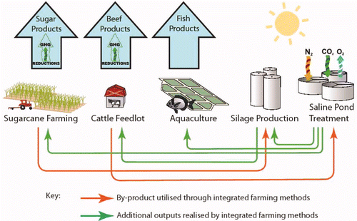 Figure 2. Schematic of the integrated farming system to improve saline fish pond yields and lower GHG from extensive grazing systems in tropical and subtropical regions.