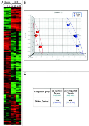 Figure 6. Global gene expression profiling in SHS-exposed mice vs. control. Genome-wide gene expression profiling was performed on RNA samples from SHS-exposed and control mice using the GeneChip® Mouse Genome 430 2.0 Array (Affymetrix Inc.). Representative results from samples of SHS-exposed mice (immediately after 4-mo treatment) and controlCitation1 (6 mo old clean-air mock-treated mice) are shown. (A) Heatmap of gene expression profiles in the lung of SHS-exposed mice and control by the Hierarchical Clustering Analysis. Numbers indicate mouse IDs. (B) Principal Component Analysis of gene expression profiles in the lung of SHS-exposed mice and control by the Partek Genomics Suite v6.11.1116 (www.partek.com). (C) Summary of differentially expressed genes identified in the lung of SHS-exposed mice relative to control. The Bioconductor package “ArrayTool” was used to identify differentially expressed genes in experimental mice vs. control. Genes with significantly different expression levels were selected by using a cutoff p value of < 0.05, and 2-fold change (log2 = 1) in expression level. The number of upregulated- and downregulated genes together with fold-change in expression level (range) in experimental mice vs. control is shown.