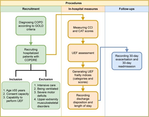 Figure 1 Summary of the procedures used in this study.