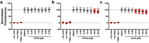 Figure 5. PFHxA and GenX suppressed the respiratory burst in vitro at 24 hr. After differentiation to nHL-60, cells were dosed with vehicle control or (A) PFOA, (B) PFHxA, or (C) GenX and then plated into a 96-well plate. At 24 hr, cells were stimulated with PMA to produce ROS, which was detected with DHR. Maximum fluorescence values are reported here. The entire fluorescence (AUC) values are provided in Supplemental Figure S14. Wells with no cells but with PMA and DHR, and cells receiving no PMA were included as controls. Cells treated with Bis I, a protein kinase C inhibitor, were included as a positive control for inhibition of the respiratory burst. Data shown are from three, combined, independent biological replicates. Each biological replicate included eight technical replicates per treatment group. Individual symbols represent individual wells of a 96-well plate. Statistical significance (*p  <  0.05) was determined by a one-way ANOVA with a Dunnett’s post-hoc test for pair-wise comparisons to the vehicle control.