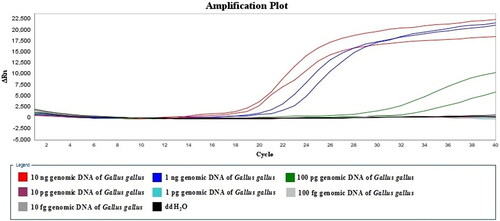 Figure 5. Sensitivity determination of the developed LMTIA assay using the genomic DNA of Gallus gallus ranging from 10 ng to 10 fg.