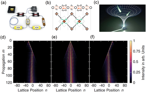 Figure 8. (a) Experimental set-up of the optical fiber loops. (b) Time-modulation to realize nonreciprocal couplings. (c) A schematic light funnel proposed using the NHSE, whose experimental measurements are shown in (d-f) for different input of light. The figures are reproduced with permissions from Ref [Citation128].