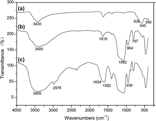 Figure 5. FTIR spectra of (a) MNPs, (b) FMNPs, and (c) FMNPs-BSA.