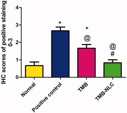 Figure 14. Statistical analysis of IHC staining intensity of TNF-α in colonic tissues. Data are mean ± SD, n = 6. Statistical differences at p<.05 were considered significant; *vs. normal group; @vs. positive control group; #vs. TMB group.