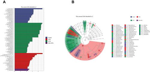 Figure 4 Predicted salivary microbiome taxa by linear discriminant analysis effect size (LEfSe), of OSA group (n=27), HTN group (n=23), OSA with HTN group (n=26) and healthy controls (n=27). (A) Histogram of taxonomic. (B) Cladogram of taxonomic. Each dot represents a taxonomic hierarchy, from inner to outer circles represented taxa from phylum to genus level. Linear discriminant analysis (LDA) score>2 indicates significant bacterial differences among four groups. Prefix p_phylum, c_class, o_order, f_family and g_genus.