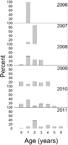 Figure 2. Age composition of palmetto bass sampled in Long Branch Lake, 2006–2011.